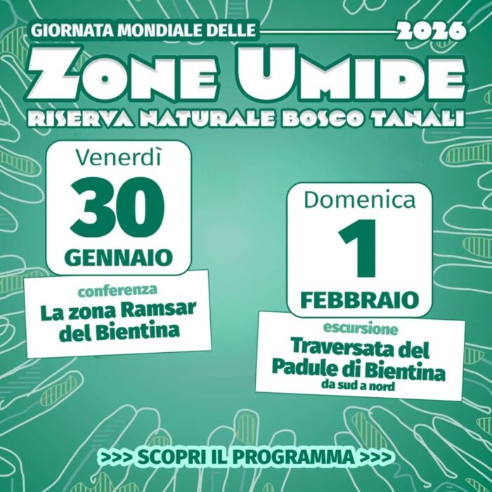 Zone Umide - Riserva naturale Bosco Tanali