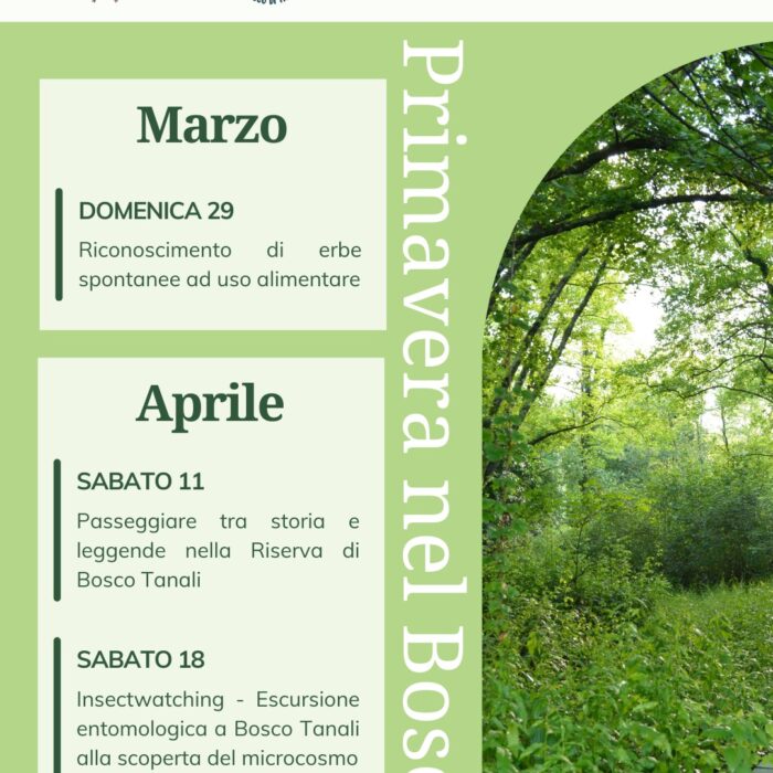 Insectwatching - escursione entomologica a Bosco Tanali