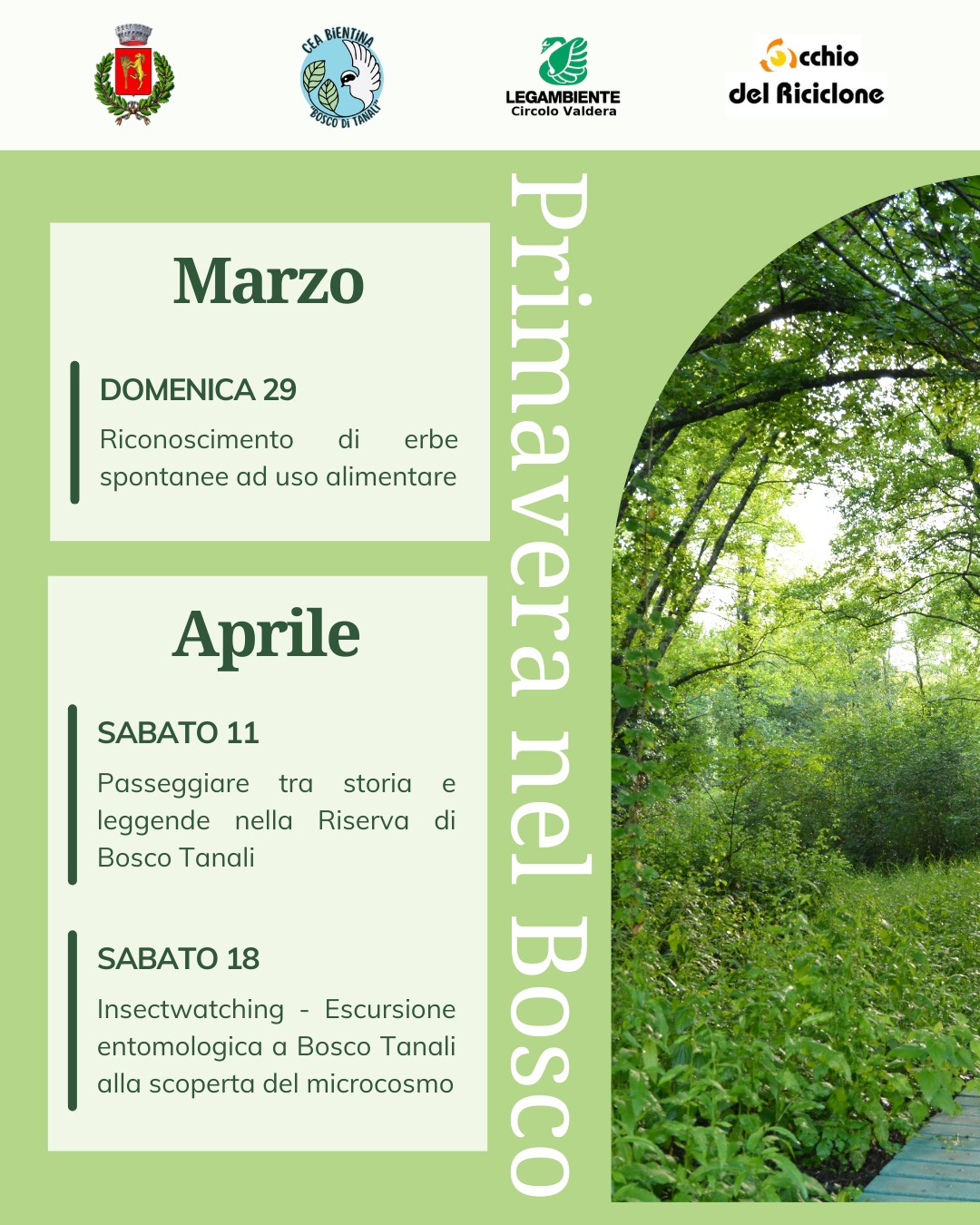 Insectwatching - escursione entomologica a Bosco Tanali
