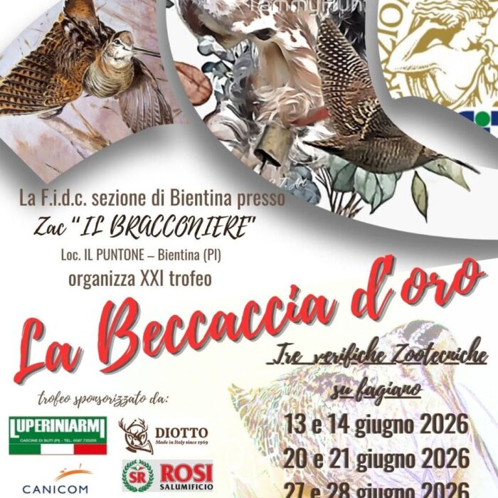 La beccaccia d'oro