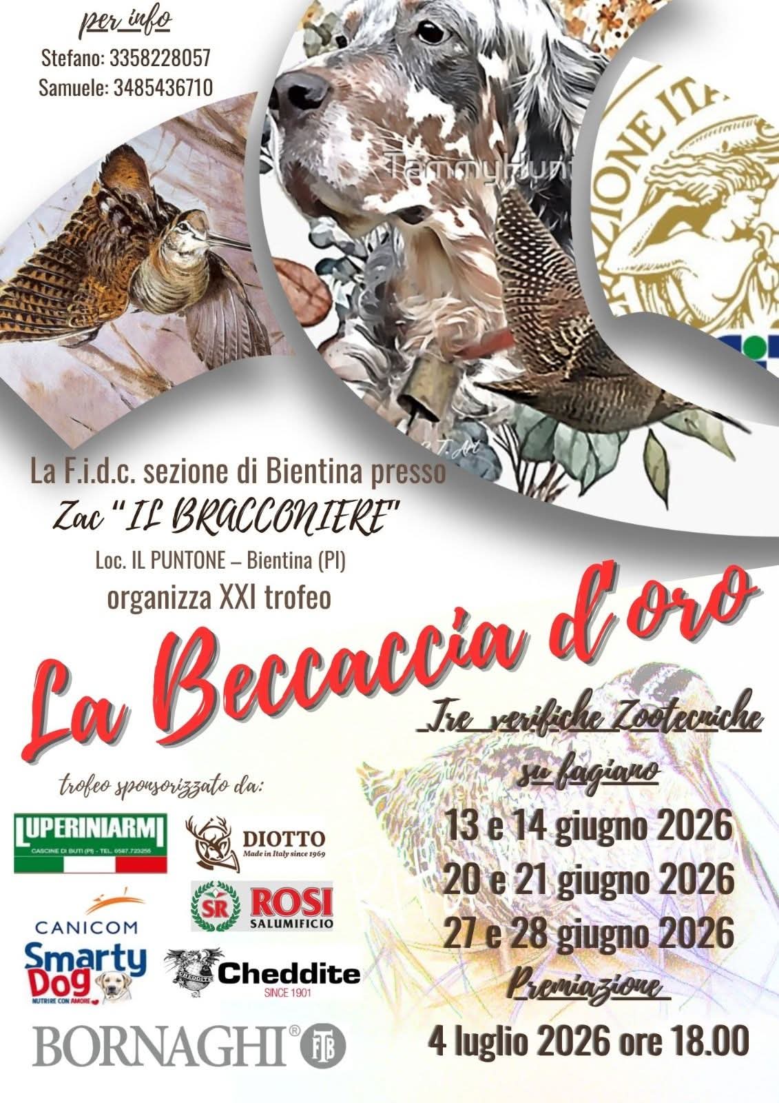 La beccaccia d'oro