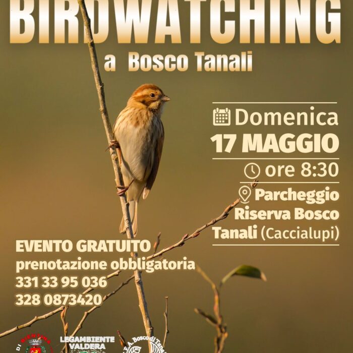 Birdwatching a Bosco Tanali