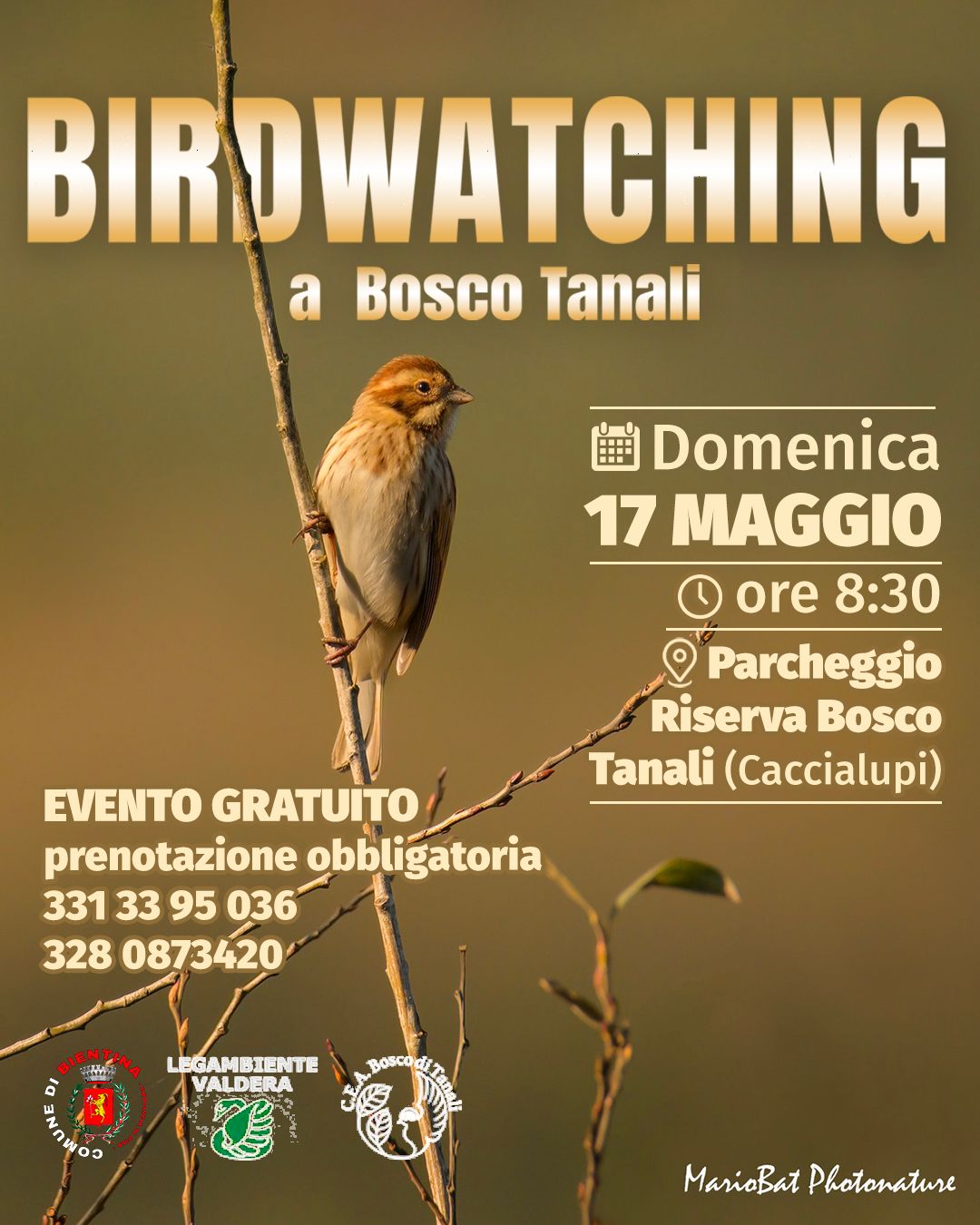 Birdwatching a Bosco Tanali